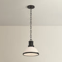 Distressed Bronze Pinesbridge Pendant 10.5" by Hudson Valley, view 2