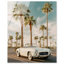 Sunkissed Roadster