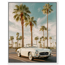 Sunkissed Roadster