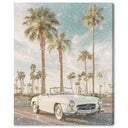 Sunkissed Roadster