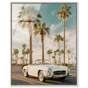 Sunkissed Roadster