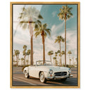 Sunkissed Roadster