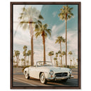 Sunkissed Roadster