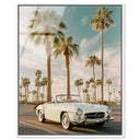 Sunkissed Roadster