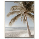 Creamy Coastal I