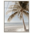 Creamy Coastal I