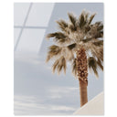 Monotone Tropics II
