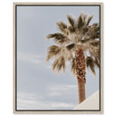 Monotone Tropics II