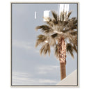 Monotone Tropics II