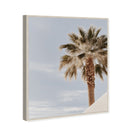 Monotone Tropics II