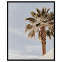 Monotone Tropics II