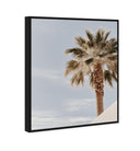 Monotone Tropics II