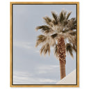 Monotone Tropics II