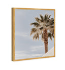 Monotone Tropics II