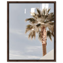 Monotone Tropics II