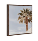 Monotone Tropics II