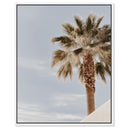 Monotone Tropics II