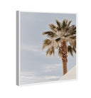 Monotone Tropics II
