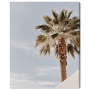 Monotone Tropics II