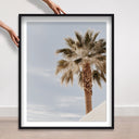 Monotone Tropics II