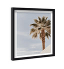 Monotone Tropics II