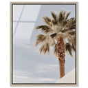 Monotone Tropics II