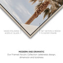 Monotone Tropics II