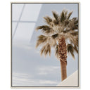 Monotone Tropics II