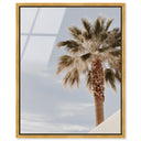 Monotone Tropics II