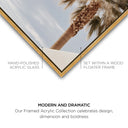 Monotone Tropics II