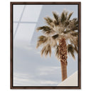 Monotone Tropics II