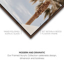 Monotone Tropics II