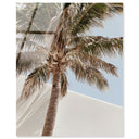 Monotone Tropics I