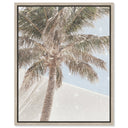 Monotone Tropics I