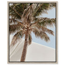 Monotone Tropics I