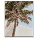 Monotone Tropics I