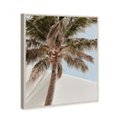 Monotone Tropics I