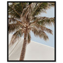 Monotone Tropics I