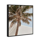 Monotone Tropics I