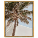 Monotone Tropics I