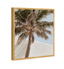 Monotone Tropics I