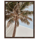 Monotone Tropics I