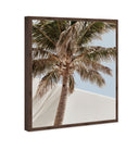 Monotone Tropics I