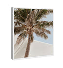 Monotone Tropics I