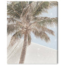 Monotone Tropics I