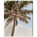 Monotone Tropics I