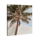 Monotone Tropics I