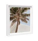 Monotone Tropics I