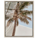 Monotone Tropics I