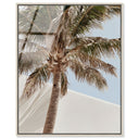 Monotone Tropics I
